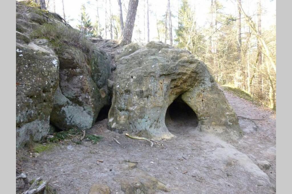 Le Repaire Des Herissons Vallee De Rabais Virton Exterior foto